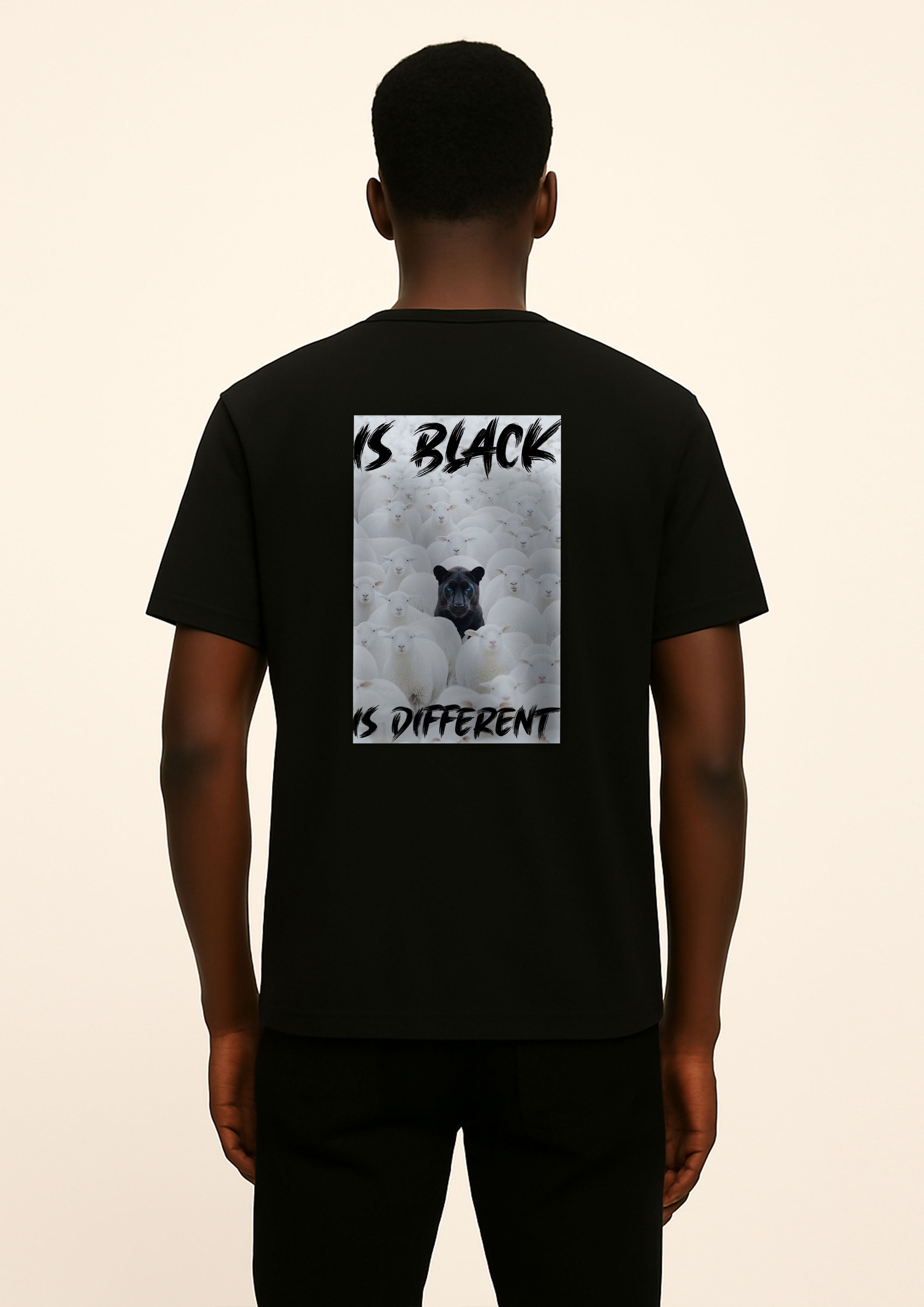 t-shirt jersey blank