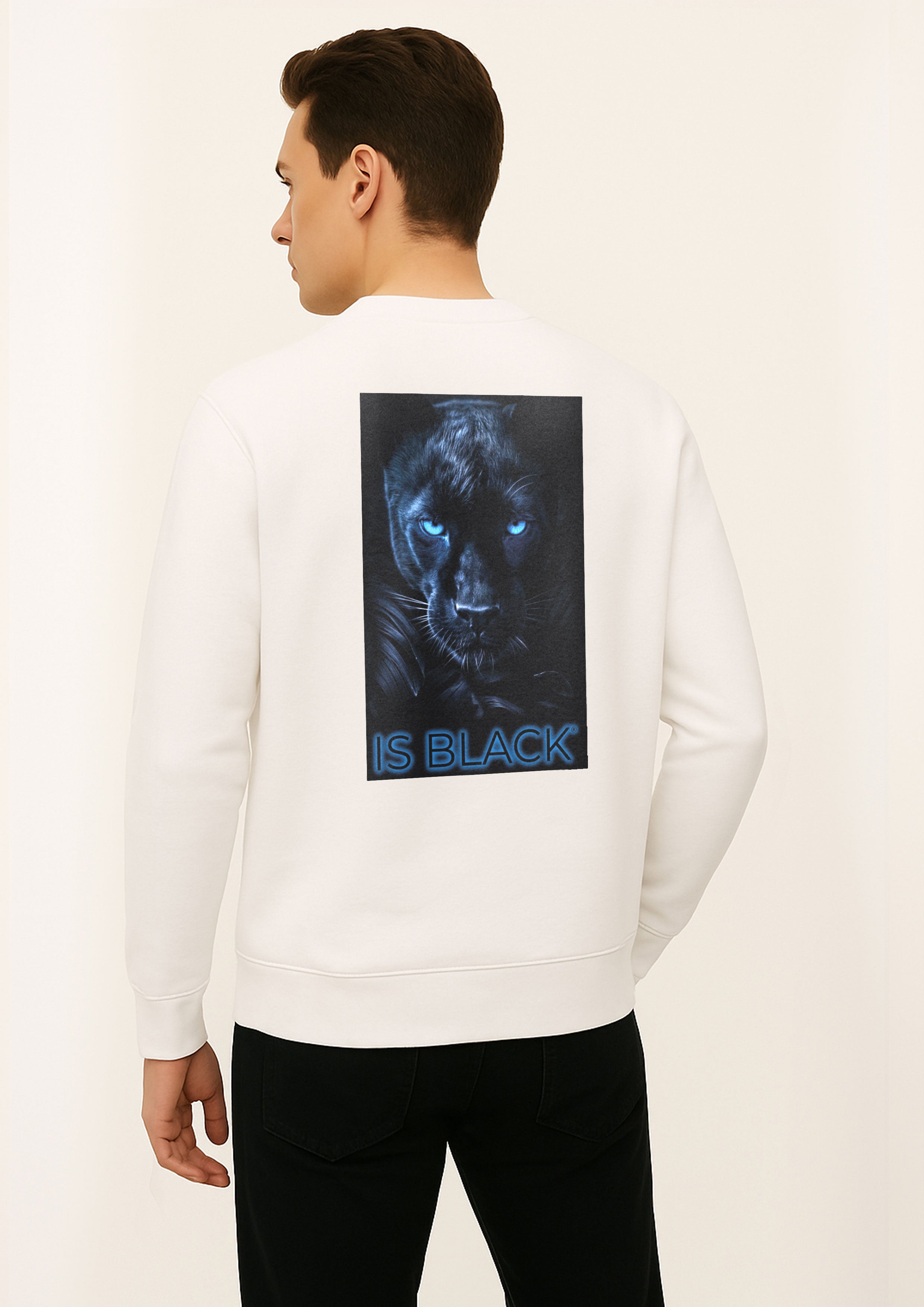 t-shirt jersey blank