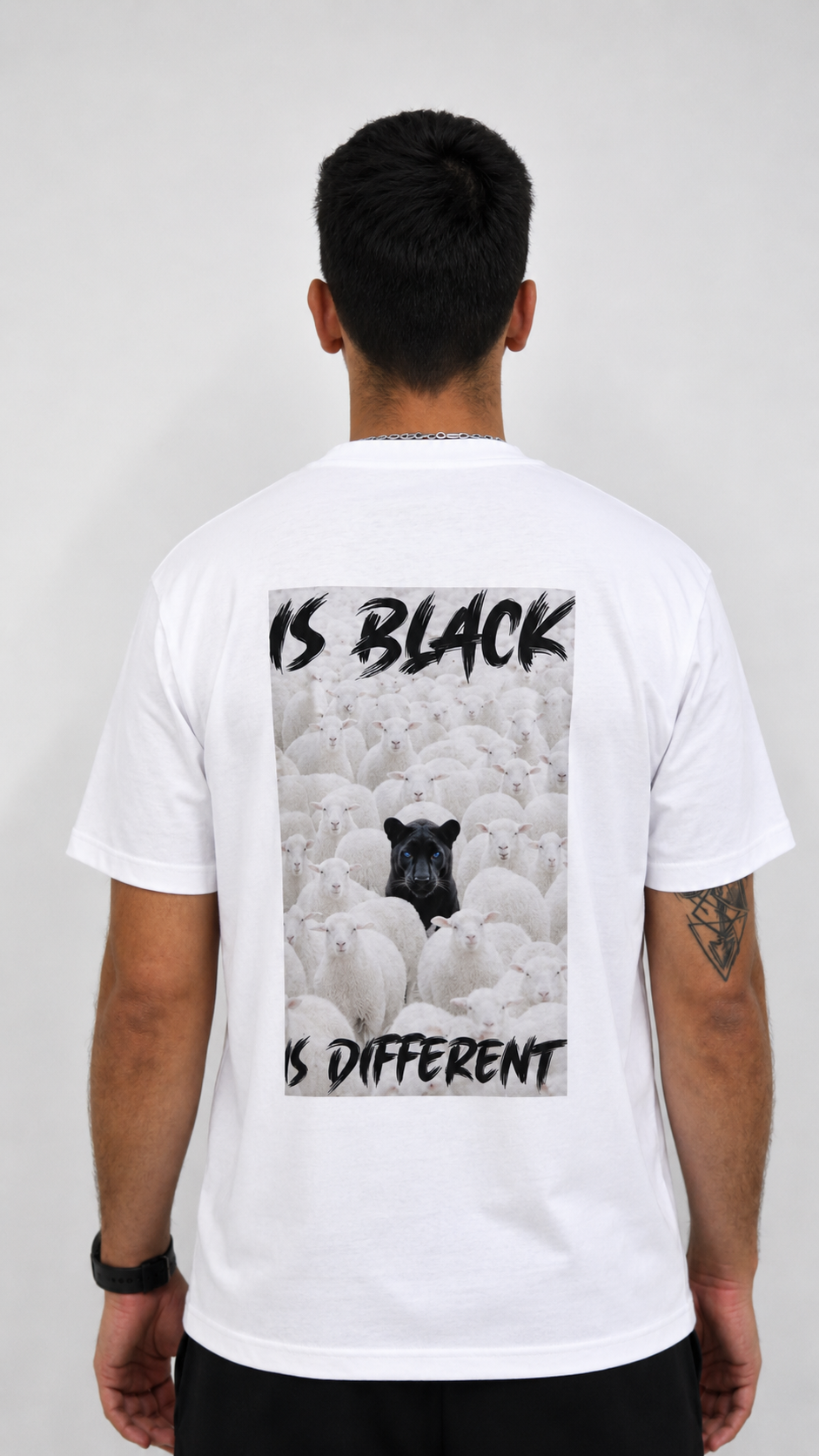 Art. 02 - t-shirt jersey blank