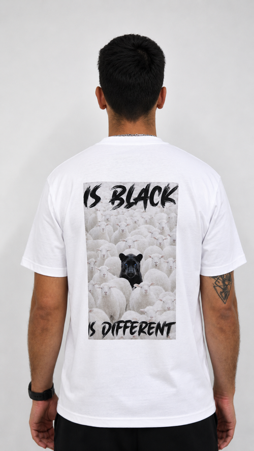 Art. 02 - t-shirt jersey blank